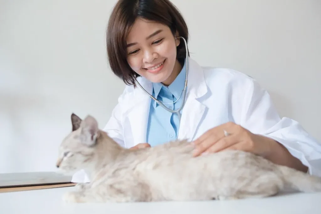mencegah virus pada kucing