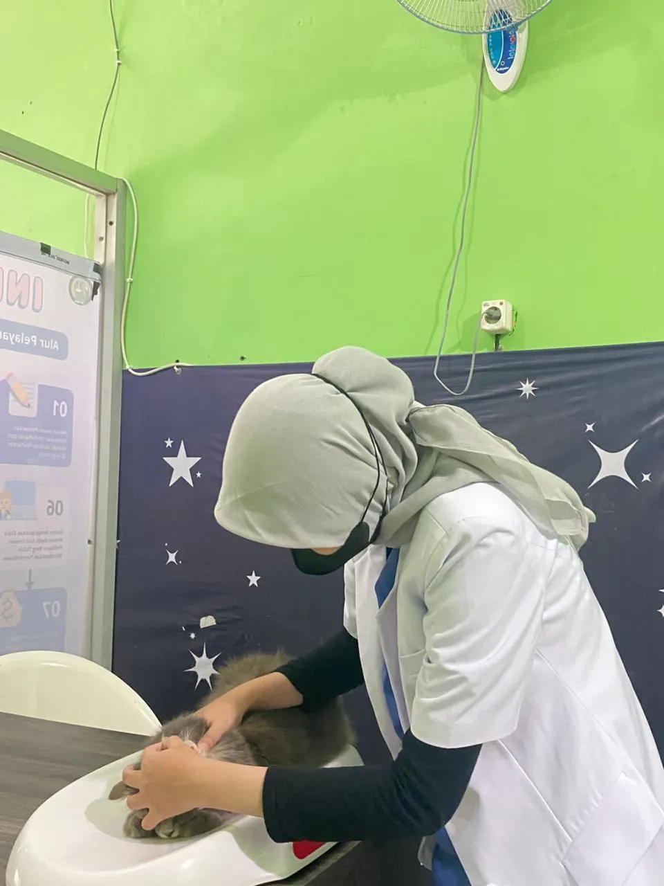 Dokumentasi Booboo Pet Care 13
