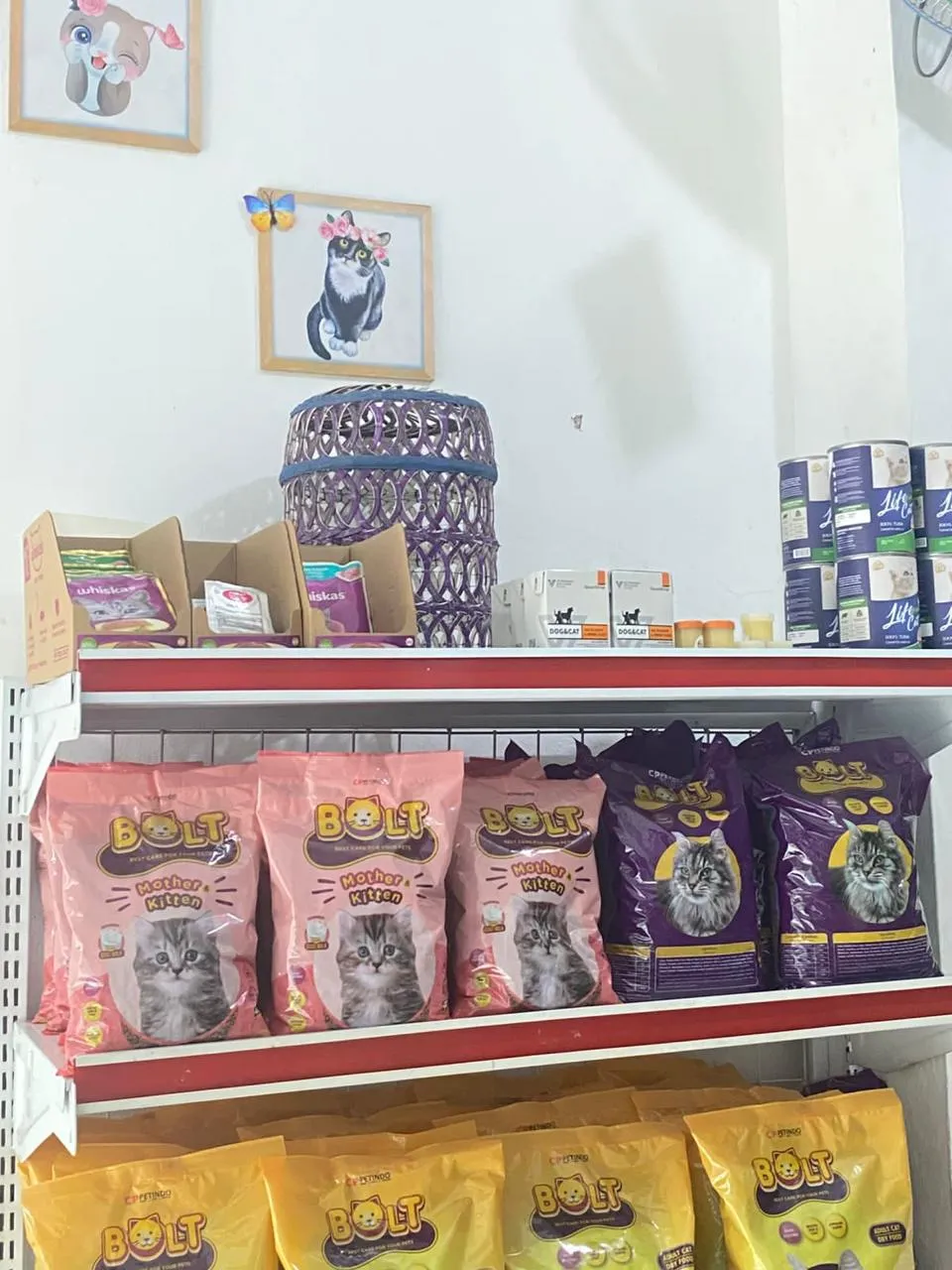 Dokumentasi Booboo Pet Care 21