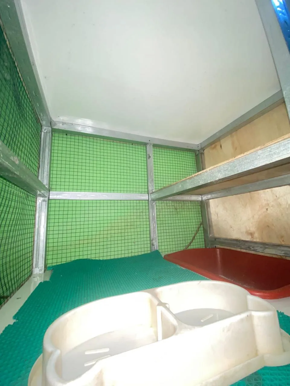 Dokumentasi Booboo Pet Care 31