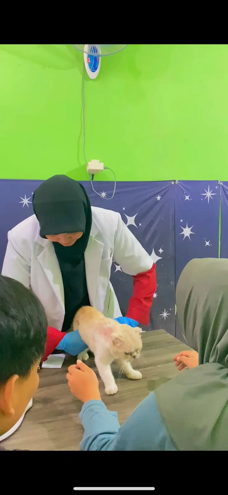 Dokumentasi Booboo Pet Care 45