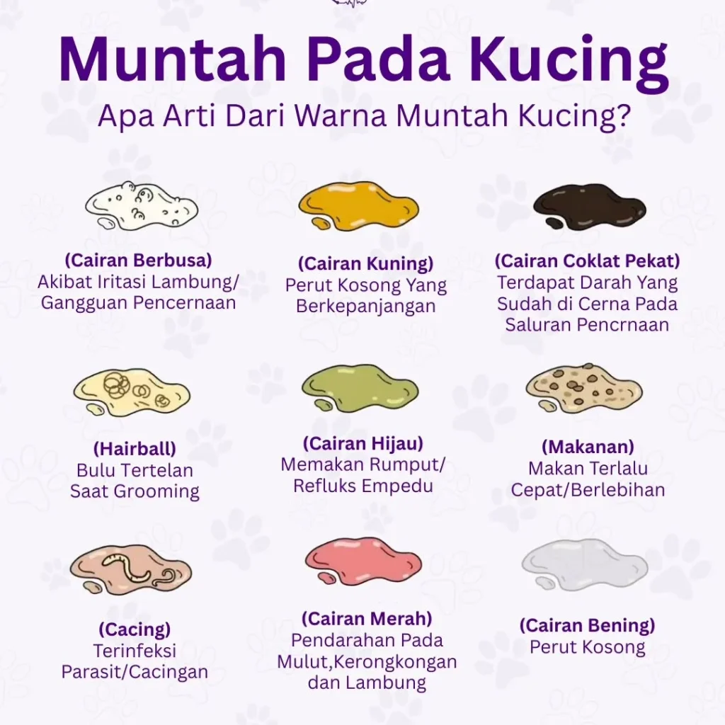 arti warna muntah kucing